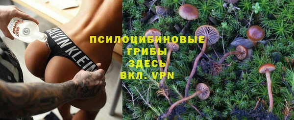 гидропоника Михайловка