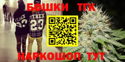 ECSTASY Гатчина