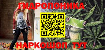 амфетамин Гай