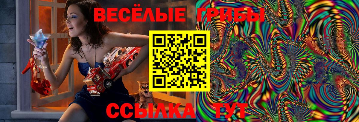 Галлюциногенные грибы GOLDEN TEACHER Алексин