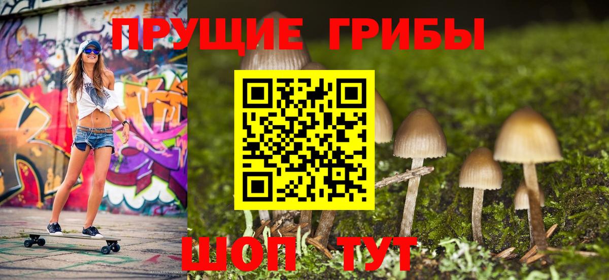 Алексин  Галлюциногенные грибы Psilocybe  Вход с VPN 