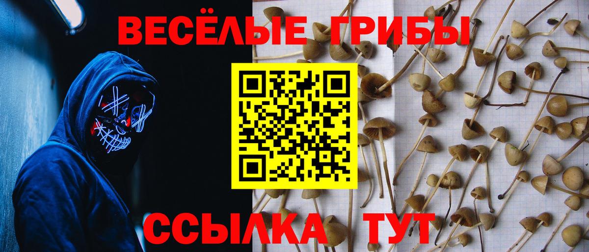 Меф мяу мяу Алексин