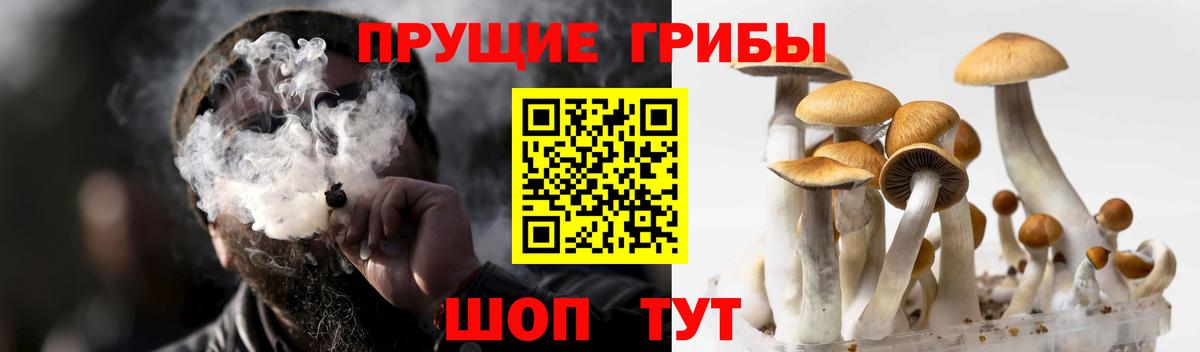 Галлюциногенные грибы Magic Shrooms Алексин